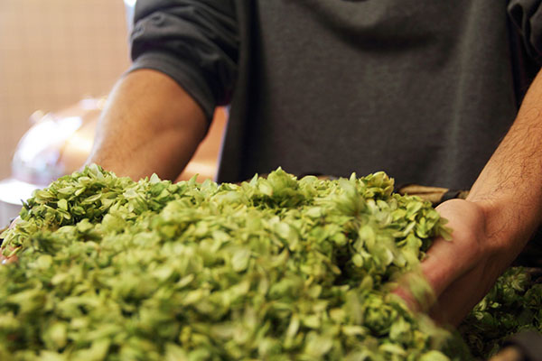 食品加工管理系統(tǒng) 食品加工管理系統(tǒng)